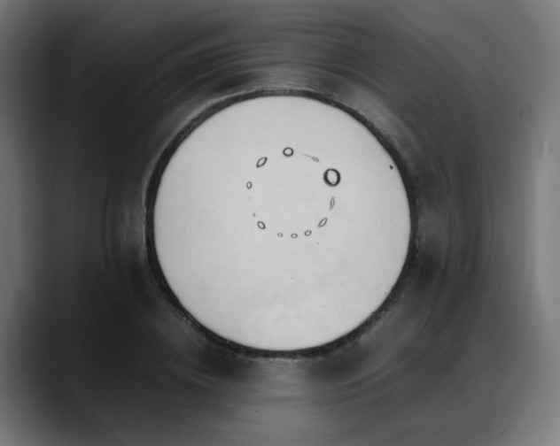 X0000088660836200705251520