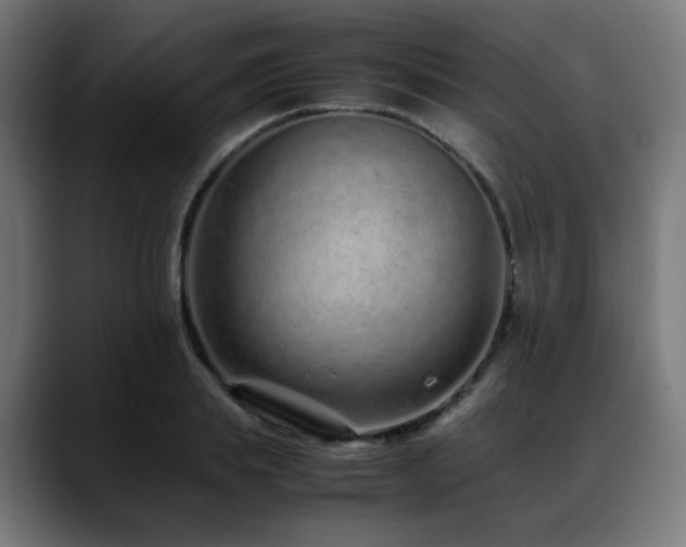 X0000088660839200705251520