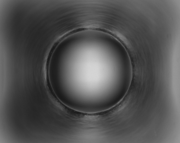 X0000088660840200705251520