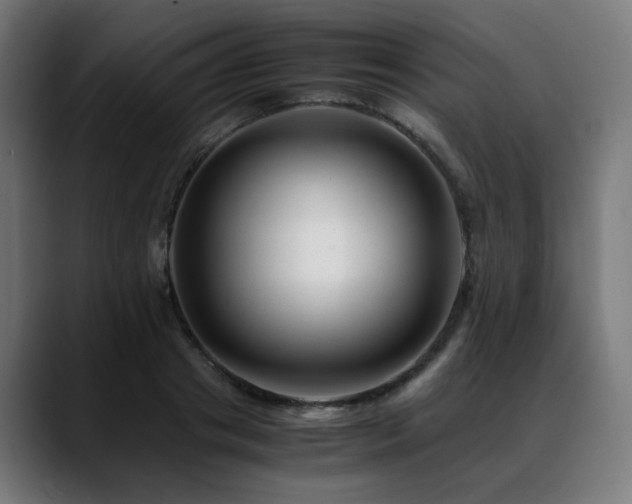 X0000088660841200705251521