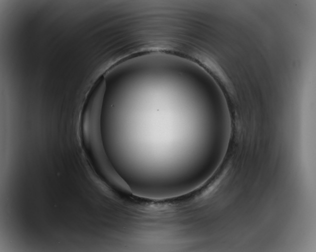 X0000088660842200705251521