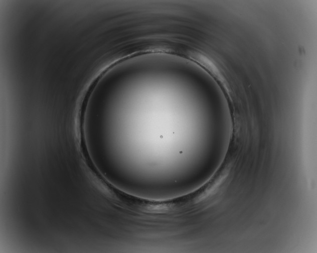 X0000088660843200705251521