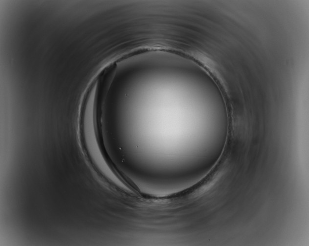 X0000088660845200705251521