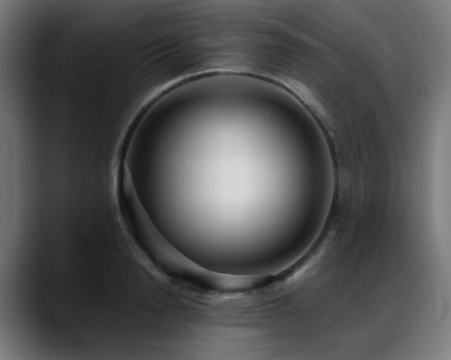 X0000088660846200705251521