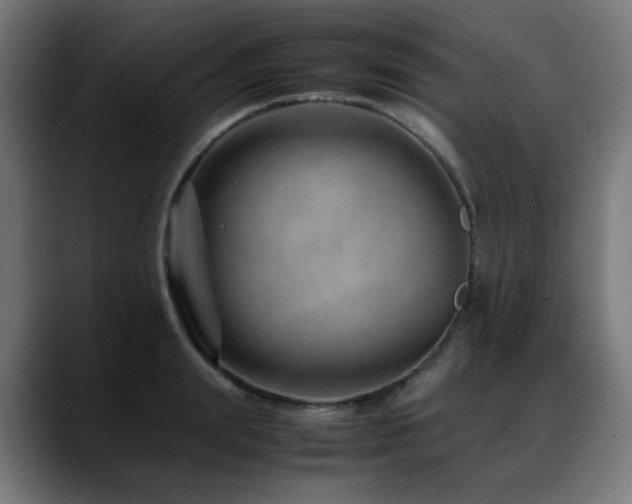 X0000088660847200705251521