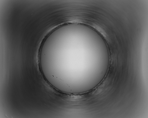 X0000088660848200705251521