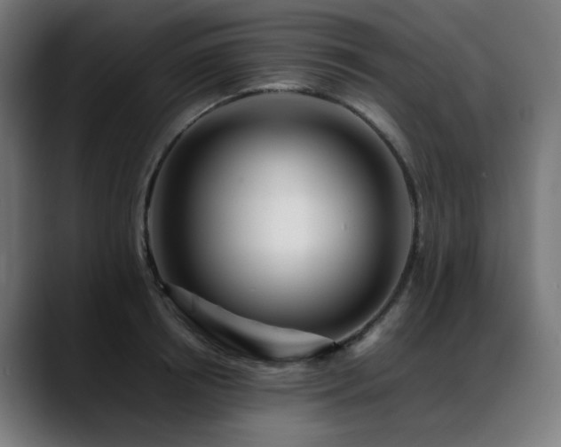 X0000088660850200705251521