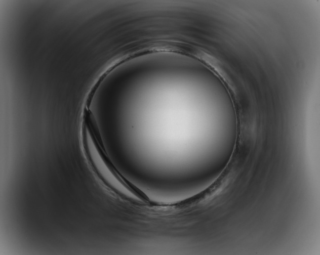 X0000088660853200705251521