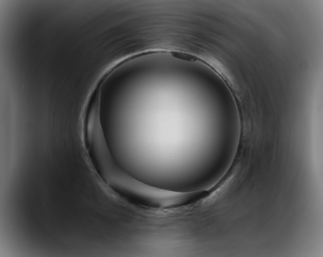 X0000088660854200705251521