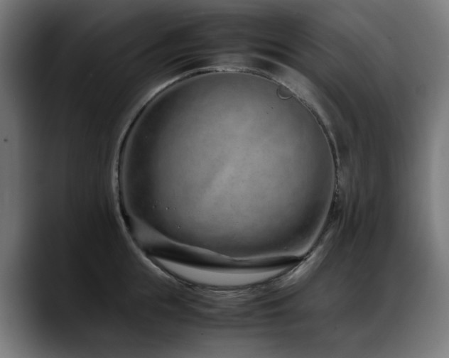 X0000088660855200705251521