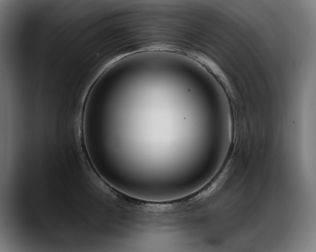 X0000088660860200705251521