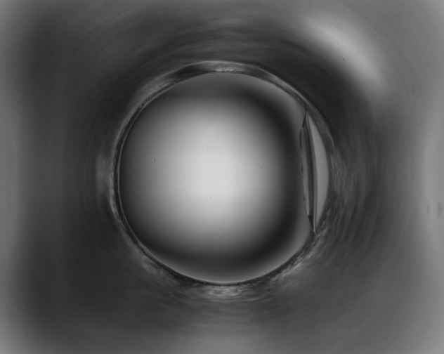 X0000088660861200705251521