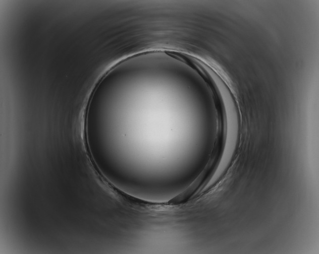 X0000088660862200705251521