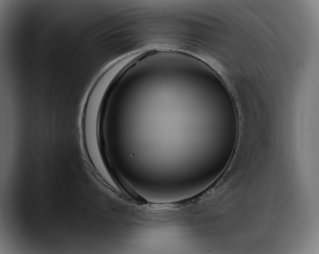 X0000088660864200705251521