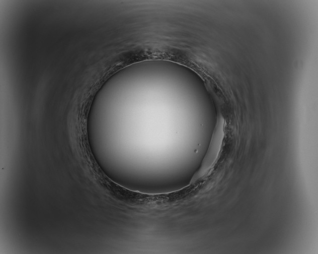 X0000088660865200705251520