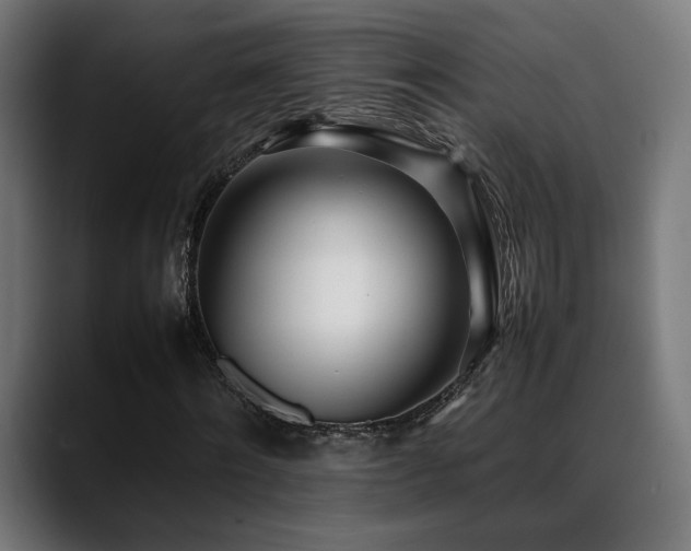 X0000088660868200705251520