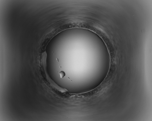 X0000088660869200705251520