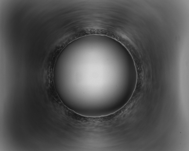 X0000088660870200705251520