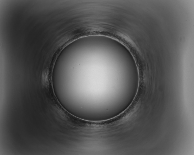 X0000088660873200705251520