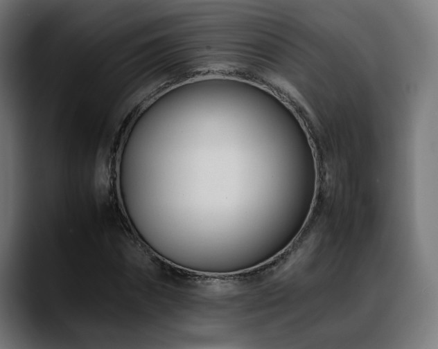 X0000088660874200705251520