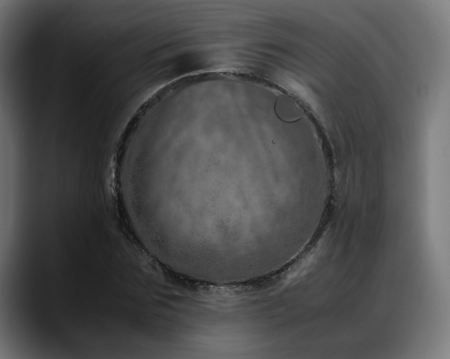 X0000088660875200705251520