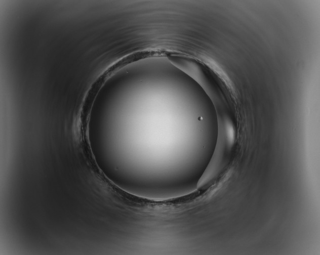 X0000088660876200705251520