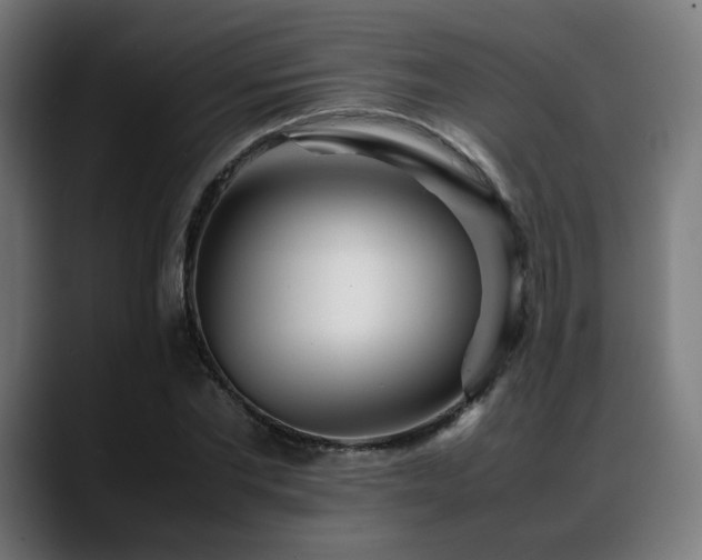 X0000088660877200705251520