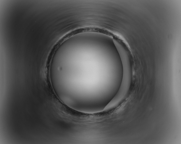 X0000088660879200705251520