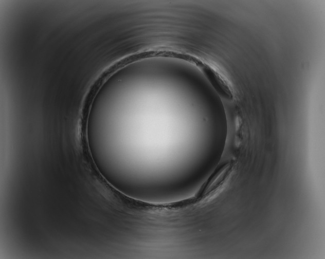 X0000088660880200705251520