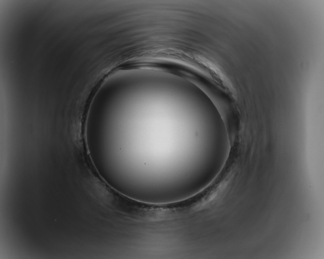 X0000088660881200705251520