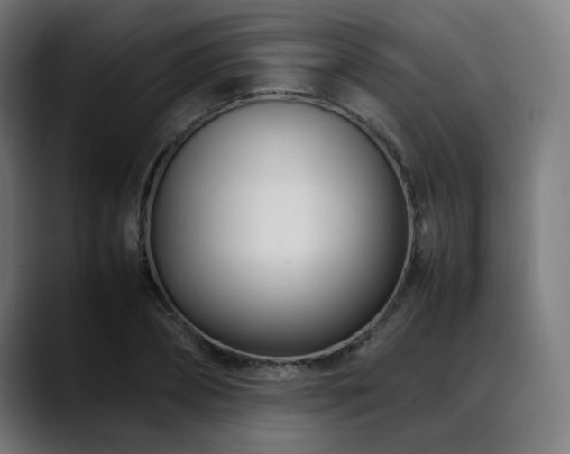 X0000088660882200705251520