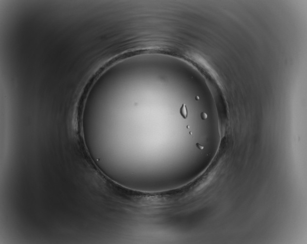 X0000088660883200705251520