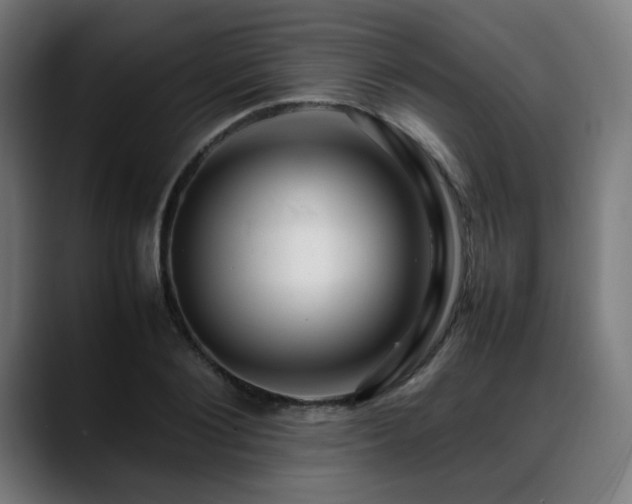 X0000088660884200705251520