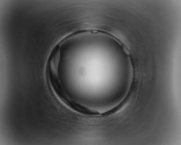 X0000088660885200705251520