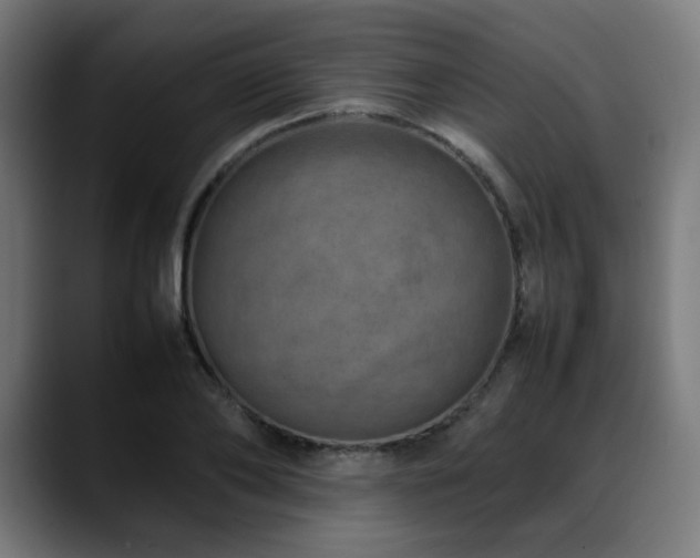 X0000088660886200705251520