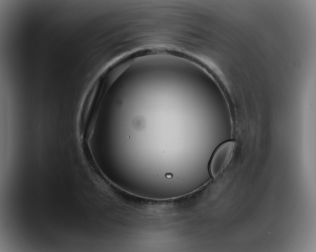 X0000088660887200705251520