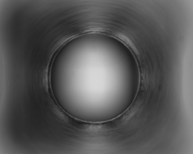 X0000088660890200705251520