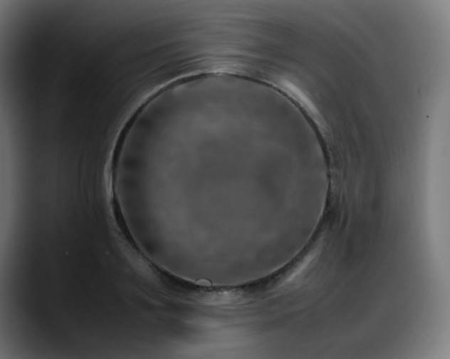 X0000088660891200705251520