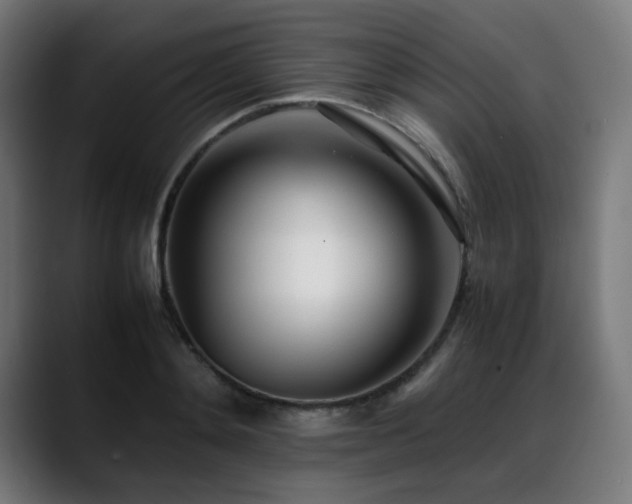 X0000088660892200705251520