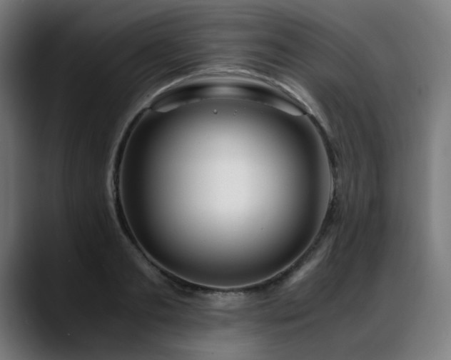 X0000088660893200705251520