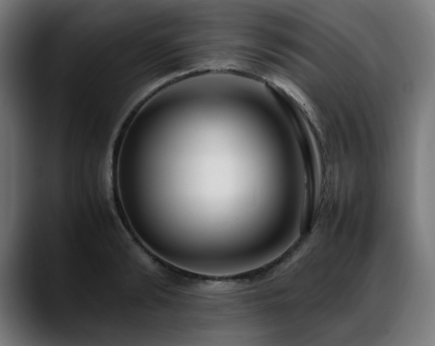 X0000088660894200705251520