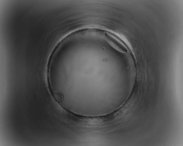 X0000088660895200705251520