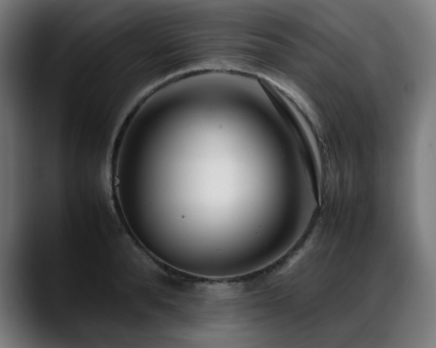 X0000088660896200705251520