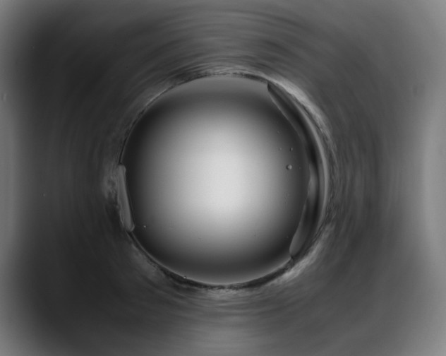 X0000088660897200705251520