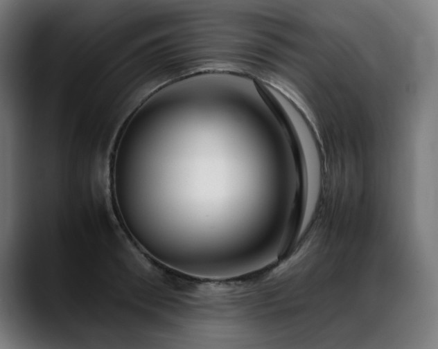 X0000088660898200705251520