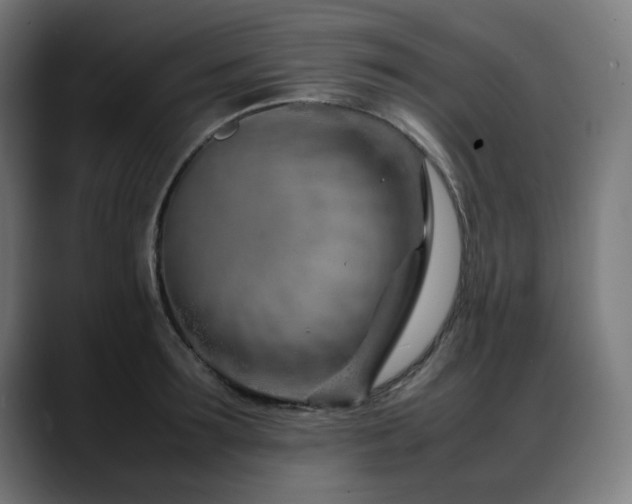 X0000088660899200705251520