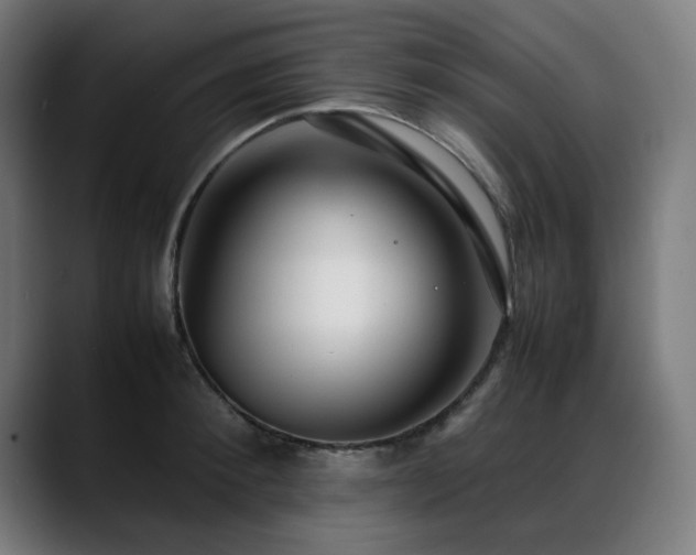 X0000088660900200705251520