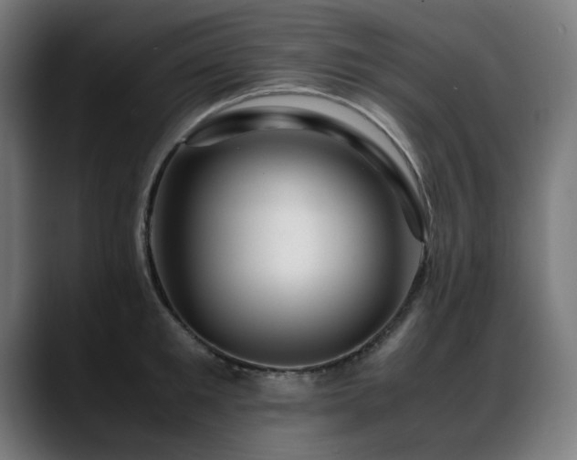 X0000088660901200705251520