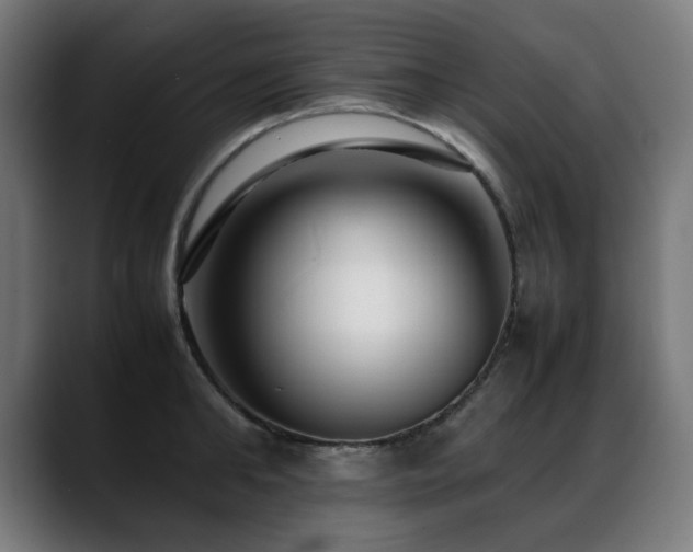 X0000088660902200705251520