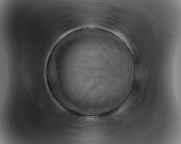 X0000088660903200705251520